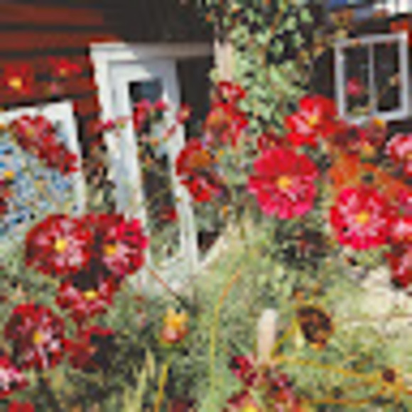 Meet your Posher, V - Picture 1 of 1